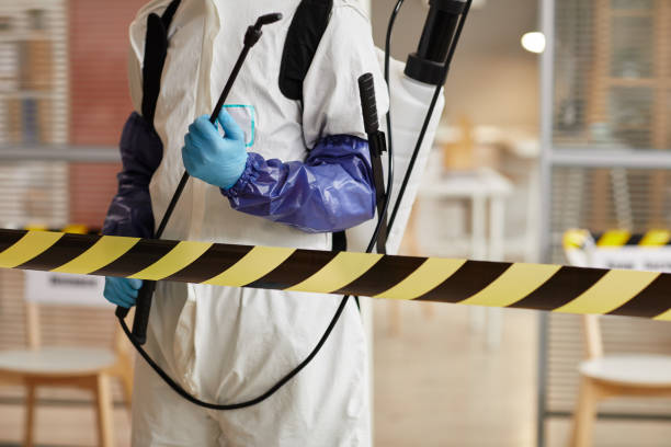 Professional Odor Removal technician working in Greenville, NH